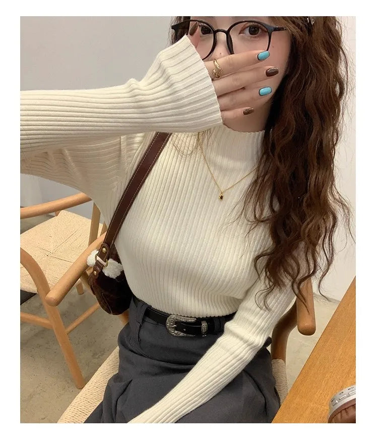 Women’s 2025 Autumn Winter Turtleneck Sweater